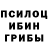Галлюциногенные грибы Magic Shrooms Meri Chaxalyan